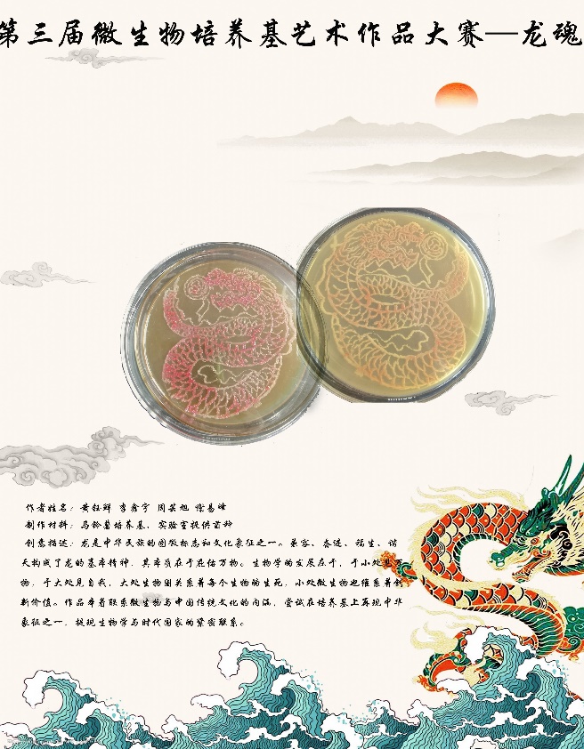 2138CC太阳集团