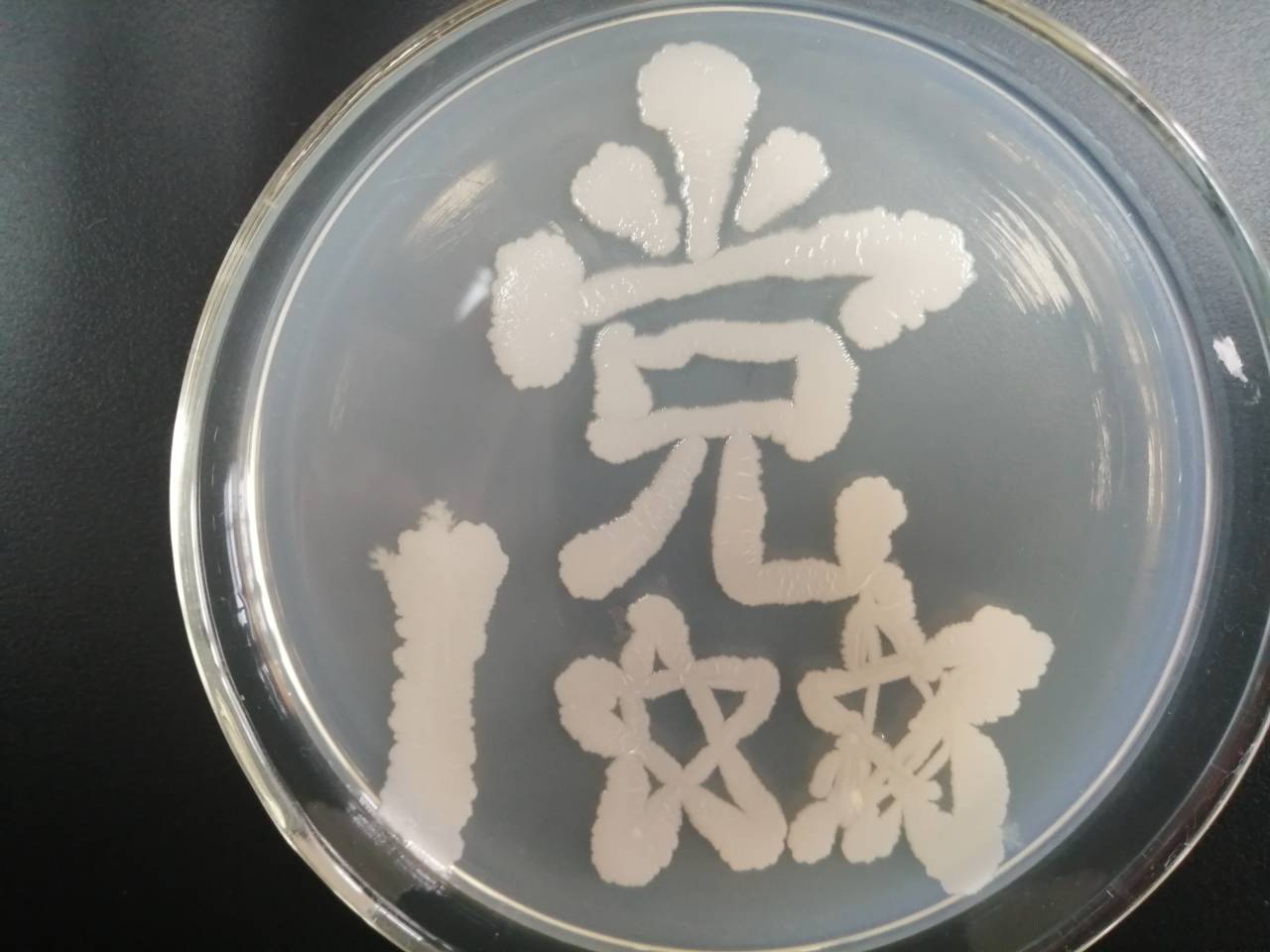 2138CC太阳集团