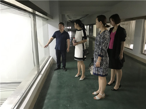 2138CC太阳集团